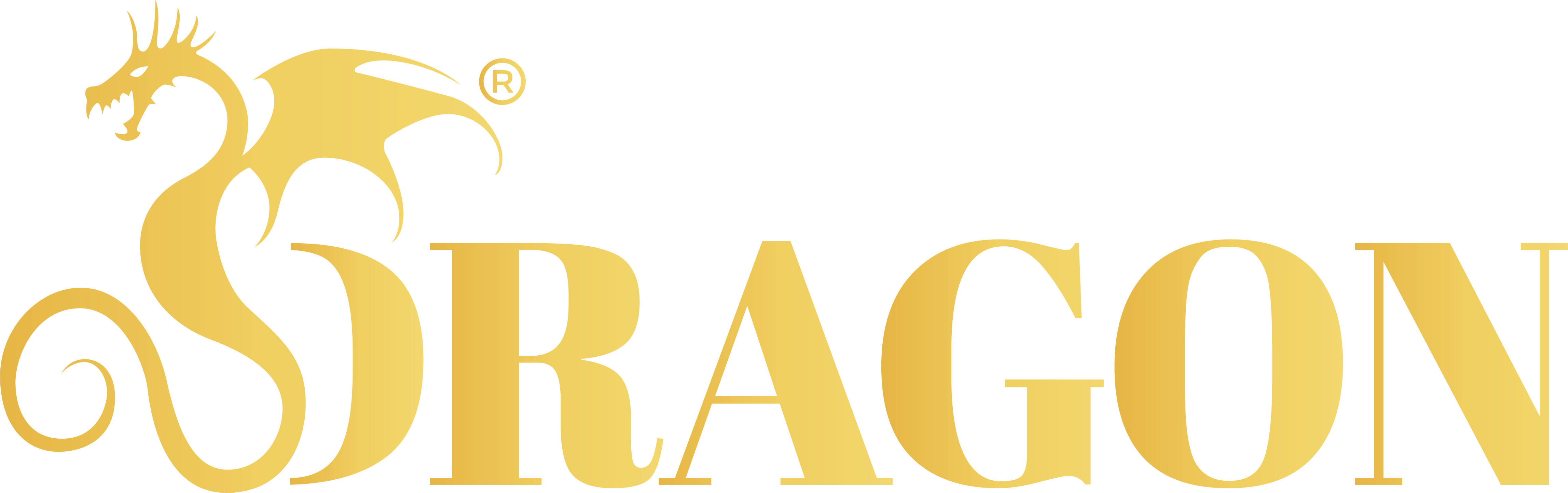 WeAreDragon logo