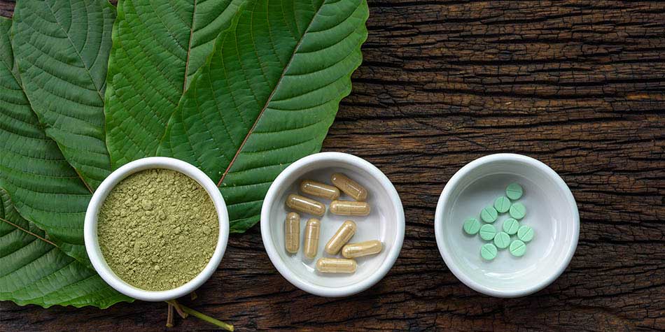 Kratom plant alongside extracted capsules, powder, and herbs displayed in separate bowls, showcasing the natural source and various forms of Kratom products.